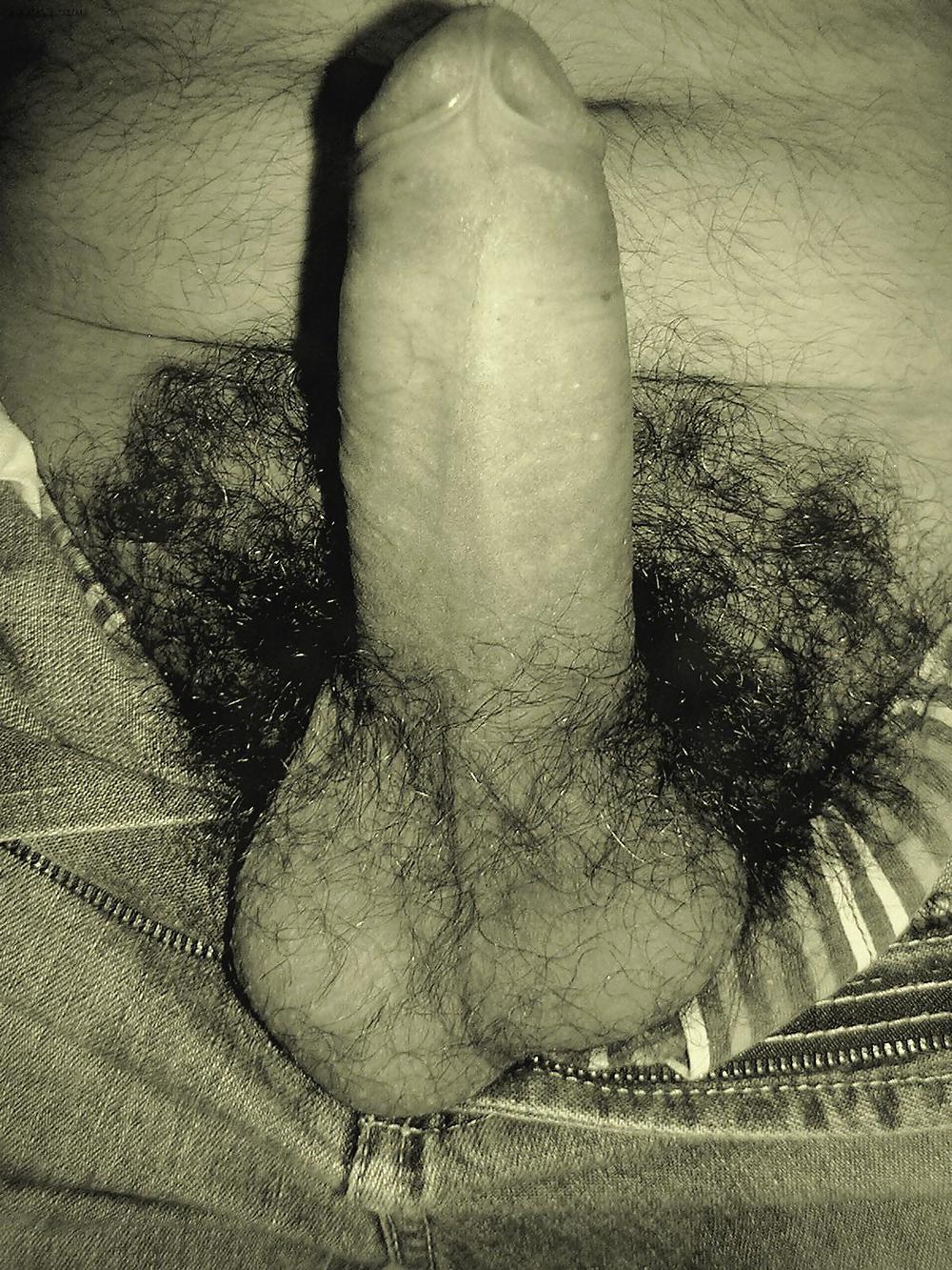 porno long penis